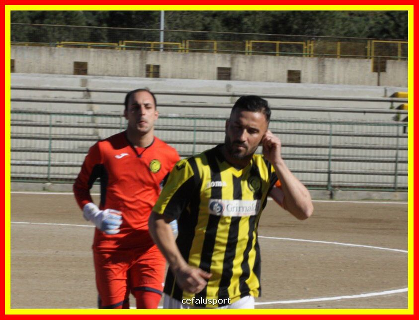 190310 Cephal_Torrenov 043_tn.jpg